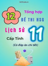 Tổng hợp 12 đề thi HSG Lịch sử Lớp 11 cấp Tỉnh (Có đáp án chi tiết)